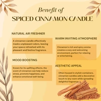 Spiced Cinnamon Handmade Scented Soya Wax Candles
