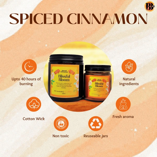 Spiced Cinnamon Handmade Scented Soya Wax Candles