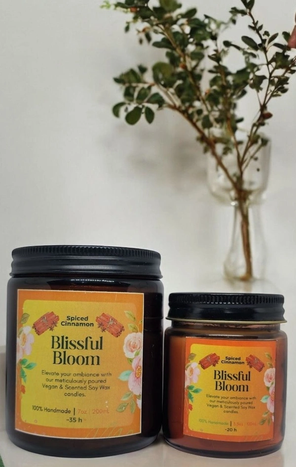 Spiced Cinnamon Handmade Scented Soya Wax Candles