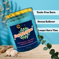 Eucalyptus Scented Soy Wax Candle - 150g