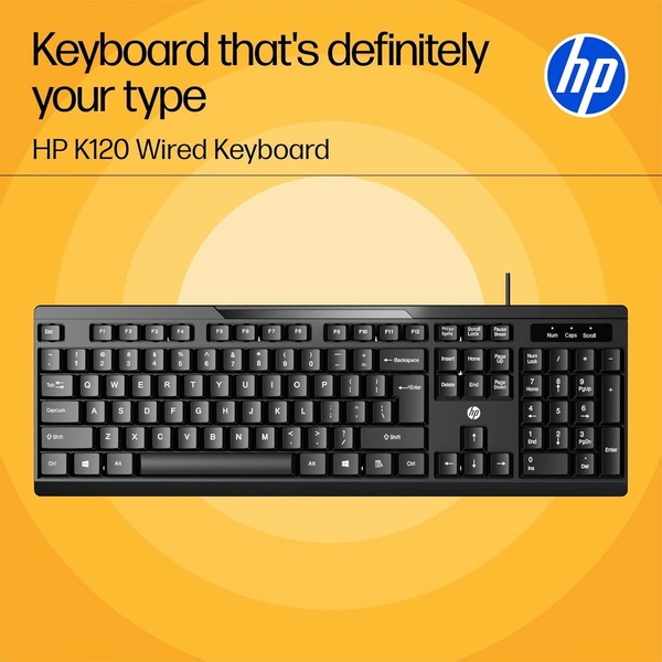 HP USB Keyboard K160