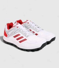 Adidas  ADIDAS CRICKET SHOES FOR MEN  - White, 7 : 8 : 9 : 10