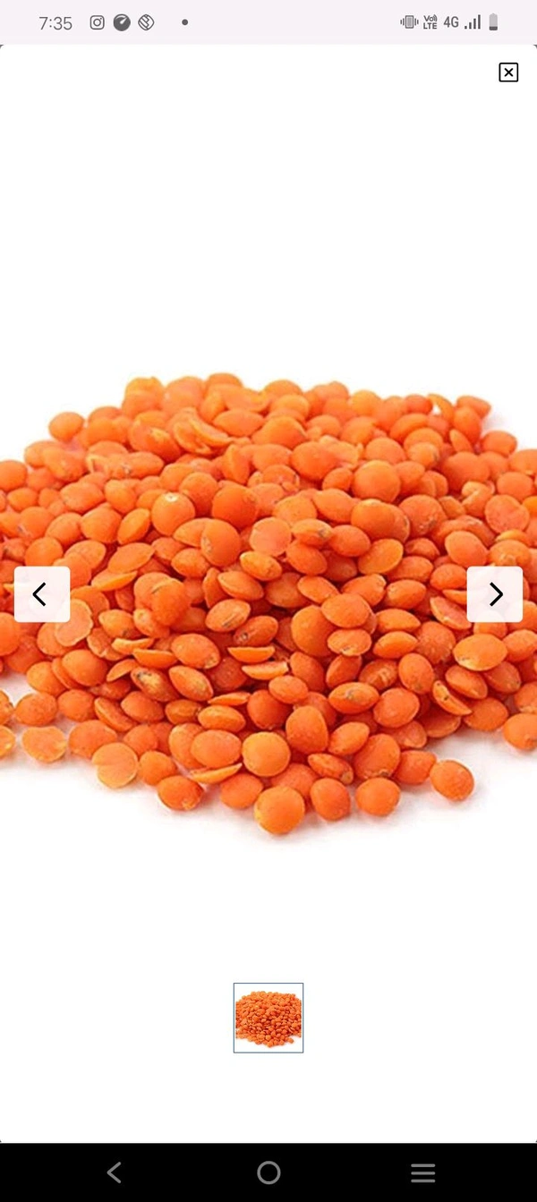 Masoor Dal - Midiam, Brick Red
