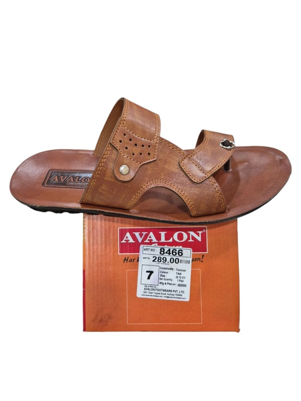 AV C 8466 - 6X10