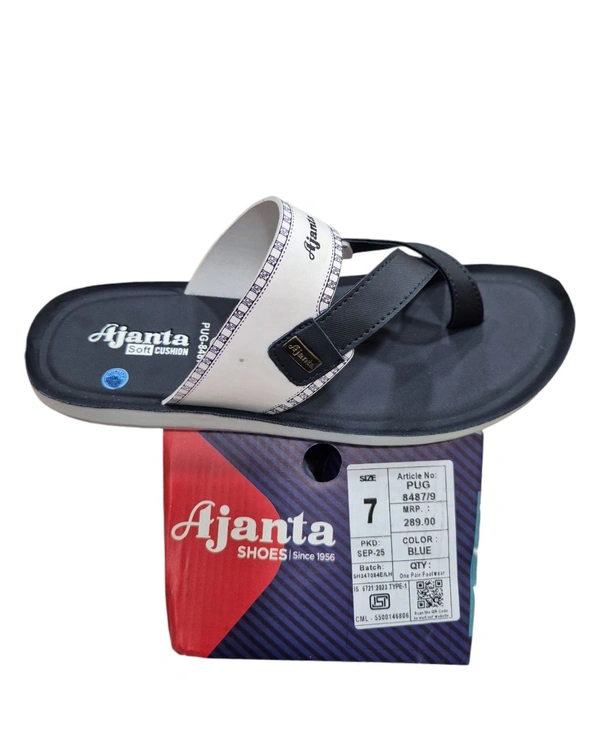 AJ D PUG8487 - 6X10