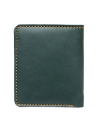 Teakwood leather Green Solid Wallet