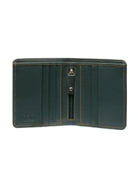 Teakwood leather Green Solid Wallet