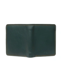Teakwood leather Green Solid Wallet