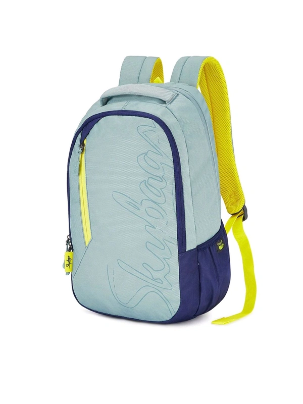 Skybags Campus 04 Laptop Backpack Grey