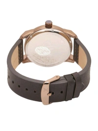 Daniel Klein Brown Dial Analog Watches For Men 