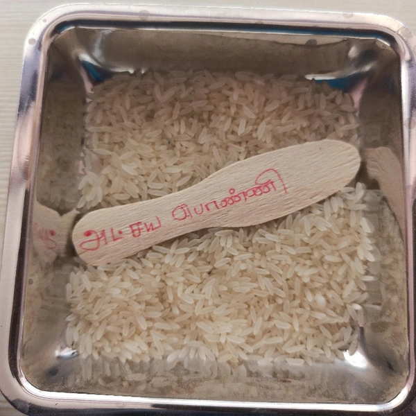 AK Brand Akshaya Ponni - Full Boiled Rice - 5Kg