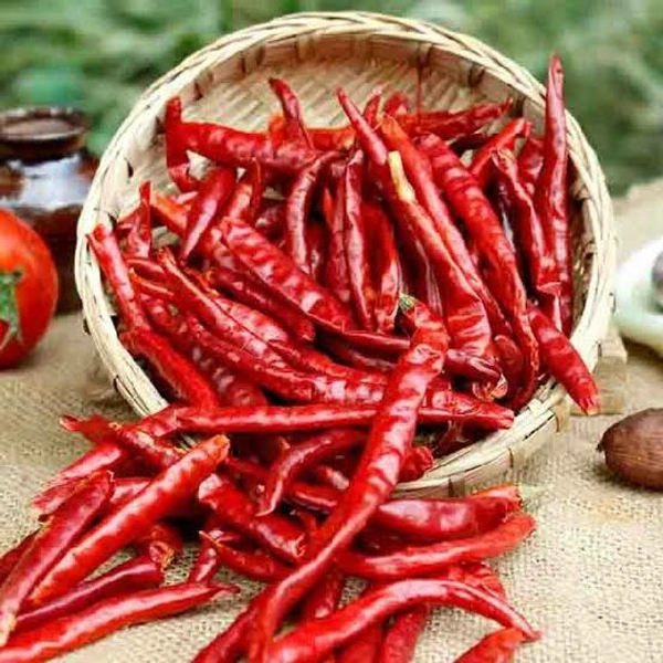 Red Dry Chilli Long / lal mirchi/ Full Neetu Milagai Premium - 1Kg