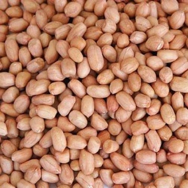 Groundnuts / Peanuts - Raw (Verkadalai) - 1Kg