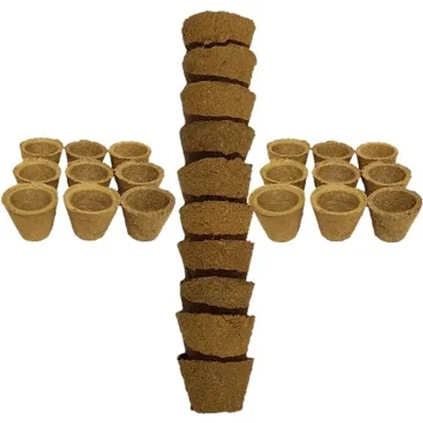 Cup Sambrani (Empty) - 10 Cups