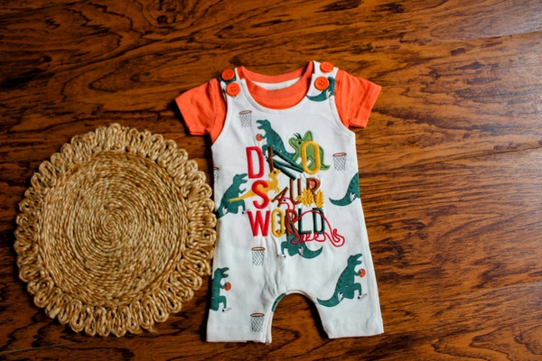 Dinosaur Print Overall - 6-9 Month