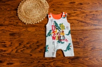 Dinosaur Print Overall - 6-9 Month