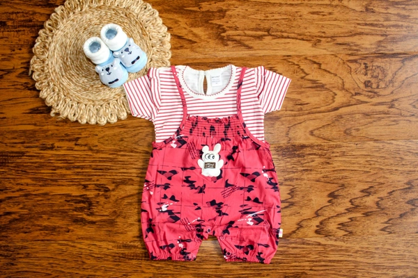 Bunny Day Out Overall Set - 6-9 Month