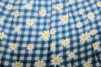  Blue Haven Frock - 12-18 Month