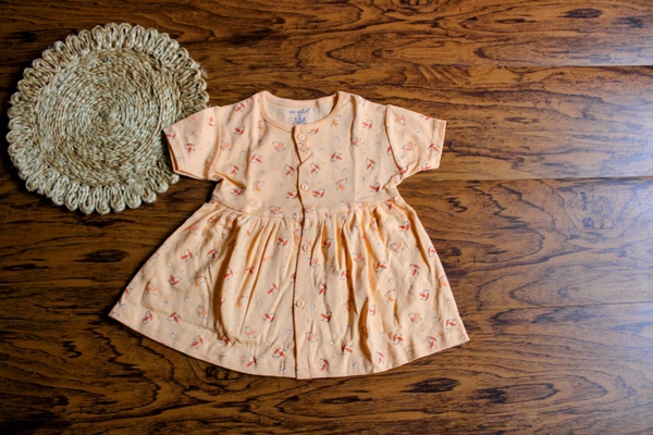Blossom Breeze Baby Girl Cotton Frock – orangeFloral Delight - 3-6 Month