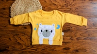 Sunny Bear Adventure Co-ord Set - 9-12 Month