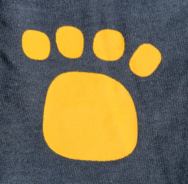 Sunny Bear Adventure Co-ord Set - 9-12 Month