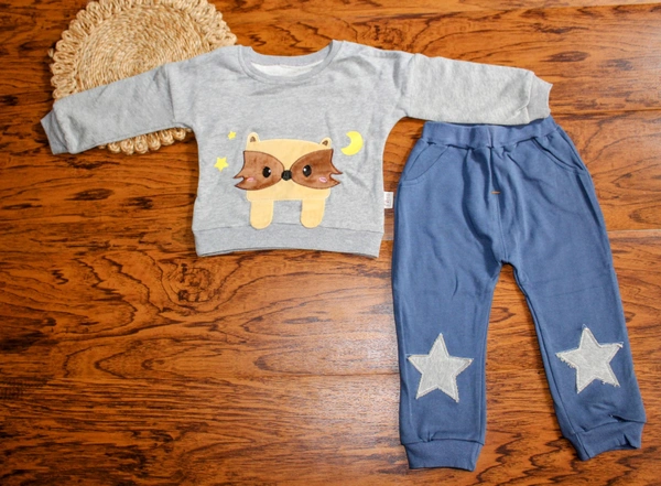 Moonlight Raccoon Co-ord Set – Grey & Blue - 9-12 Month