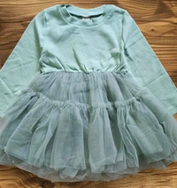 Minty Tulle Princess Dress with Snow Leopard Vest - 1-2 year