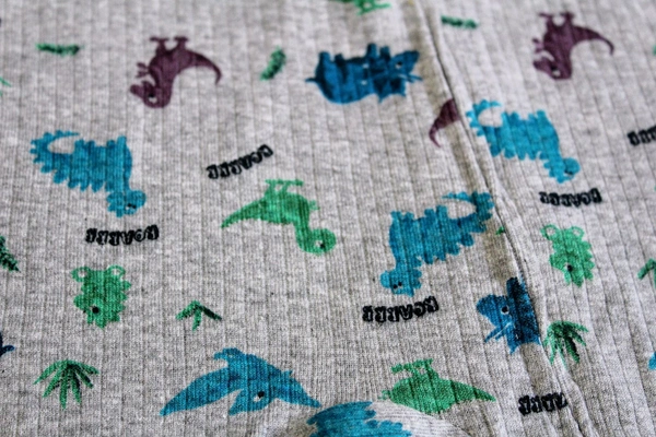 Cozy Dreams Baby Sleepsuit- Dino - 12-18 Month