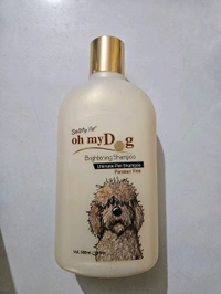 Oh My DOG 