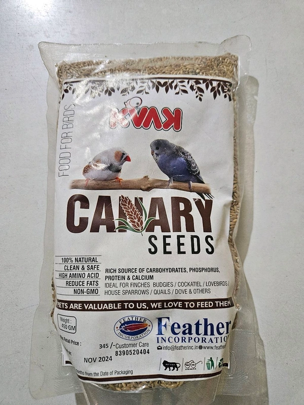 Birds Food 