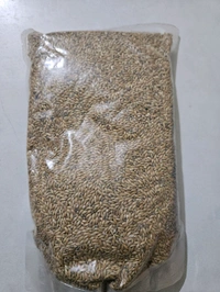 Birds Food 