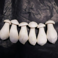 Milky Mushroom - 500gm