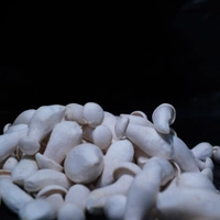 Milky Mushroom - 500gm