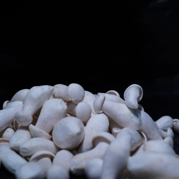 Milky Mushroom - 500gm