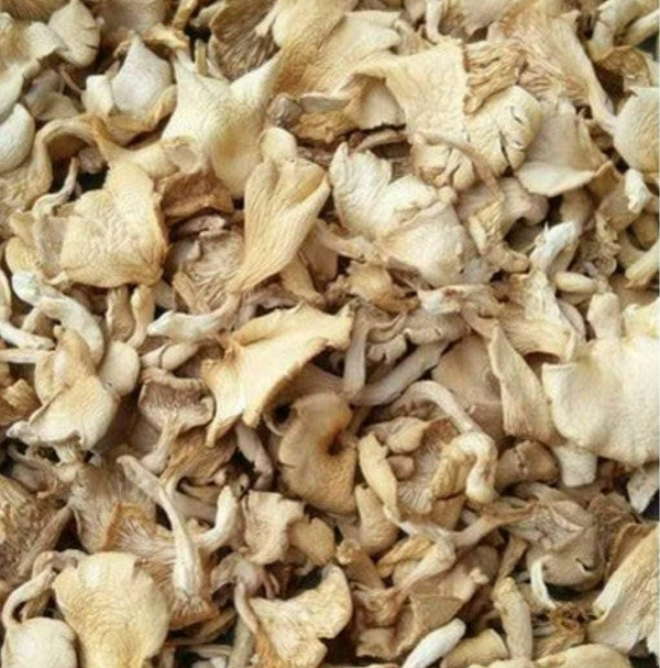 Dry Milky Mushrooms