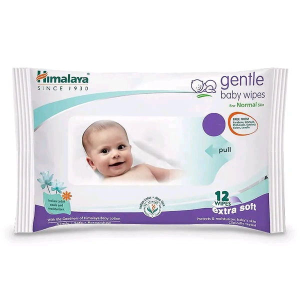 The Himalaya Drug Company Himalaya Gentle Baby Wipes - 12 Wipes