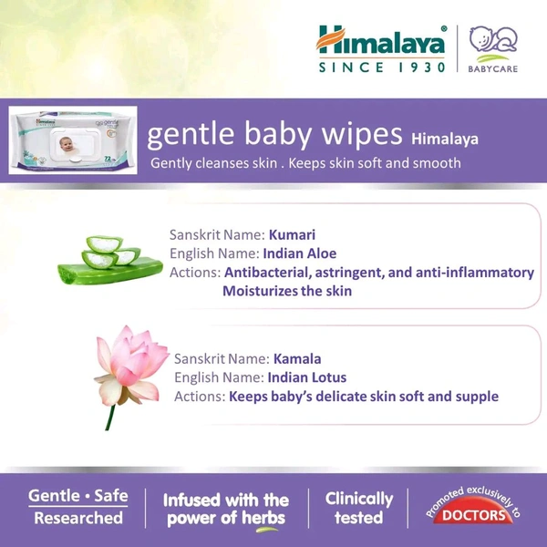 The Himalaya Drug Company Himalaya Gentle Baby Wipes - 12 Wipes