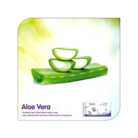The Himalaya Drug Company Himalaya Gentle Baby Wipes - 72x2 Wipes