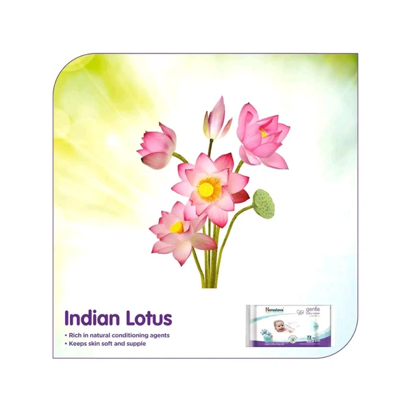 The Himalaya Drug Company Himalaya Gentle Baby Wipes - 72x2 Wipes