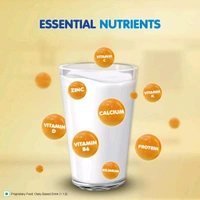 NESTLE INDIA LTD Nangrow Creamy Vanilla Flavour Nutrition Powder - 400gm