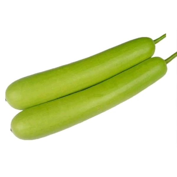 Bottle Gourd, Lauki - 900 g. to 1.1 kg. 