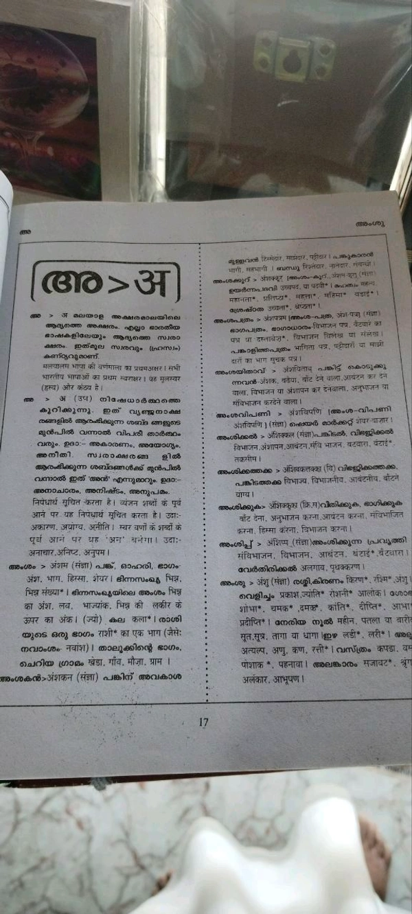 1.മലയാളം -മലയാളം - ഹിന്ദി നിഘണ്ടു