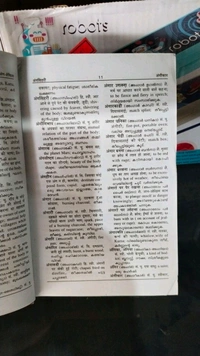 21. HINDI HINDI ENGLISH MALAYALAM DICTIONARY