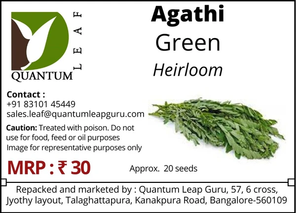 Quantum Leaf Agathi - Open Pollinated, Green