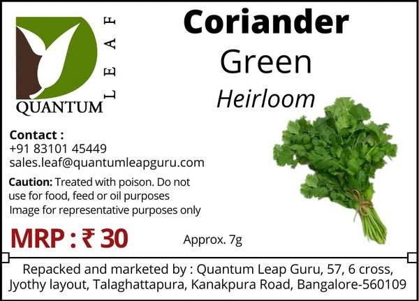 Quantum Leaf  Coriander - Regular, Open Pollinated