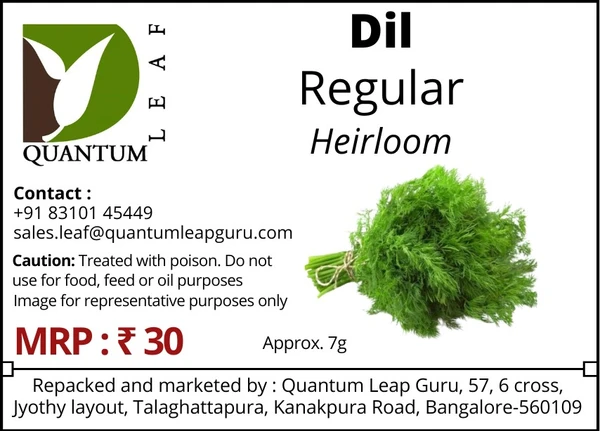 Quantum Leaf  Dil - Open Pollinated, Regular