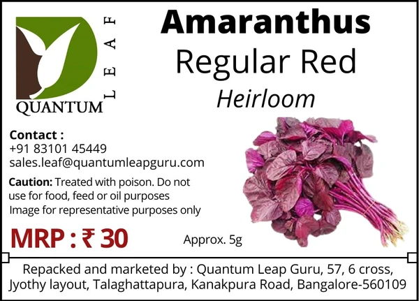 Quantum Leaf Amaranthus - Red, Open Pollinated