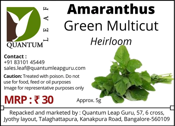 Quantum Leaf Amaranthus - Multicut Green, Open Pollinated
