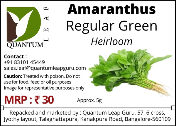 Quantum Leaf Amaranthus - Regular Green, Open Pollinated