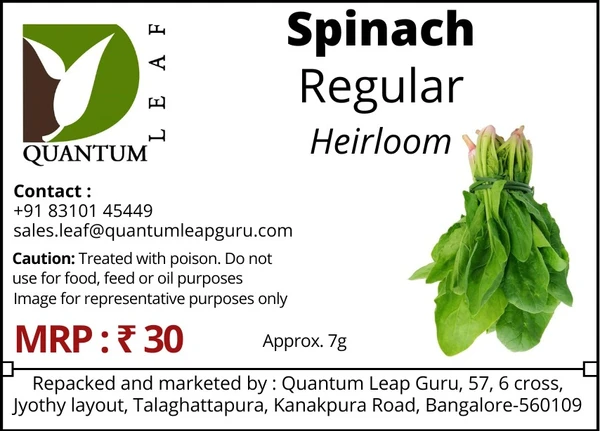 Quantum Leaf  Spinach Regular - Green, Open Pollinated